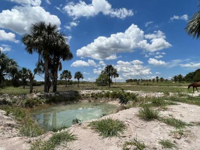 Imperdível ! SÍTIO à venda 30 Hectares Novo Diamantino MT