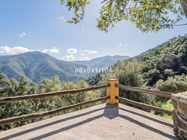 Impère Magnífico de 30 hectáreas en Jubrique, Valle del Gena. 485m² Jubrique