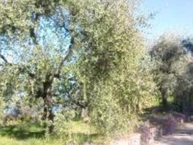 Imperia ZONA GARBELLA AFFITTASI APPARTAMENTO COMPLETAMENTE ARREDATO CON GIARDINO PRIVATO