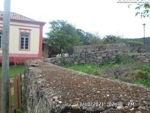 Imponente Fazenda de 94 ha com Linda Sede Centenária e alta Produção de Leite e eucaliptos