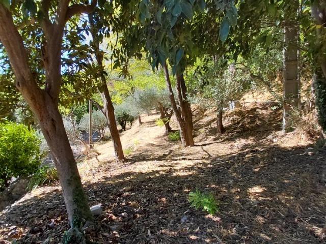 Imposante Villa Familiale Proche Du Village 152m² Bargemon