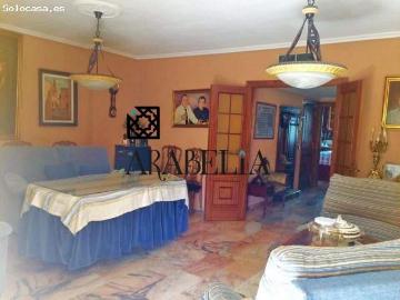 Levante, Córdoba, La Campiñuela, Córdoba, Andalucía, Andalucía