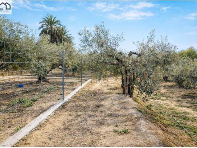 Impresionante Casa Reformada con Amplio Terreno en Murcia Precio a plazos: 550.000€