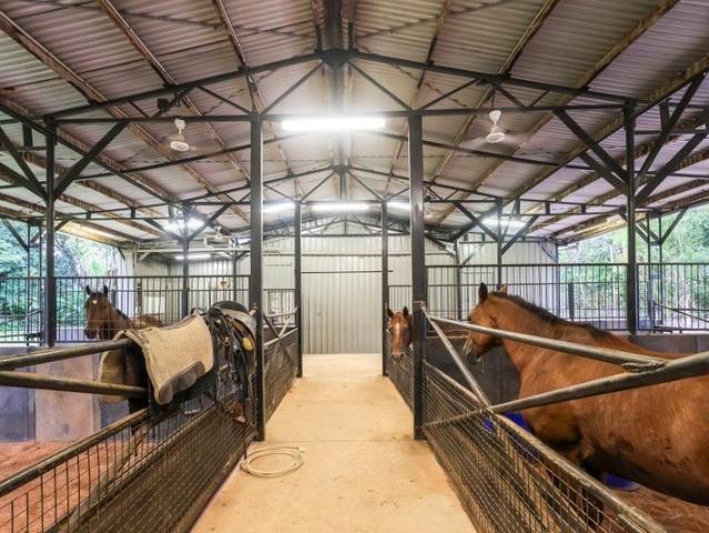 Impressive Equestrian Property With 5 Bedrooms, 3 Bathroom Homestead and 1 Bedroom Self Contained Granny Flat