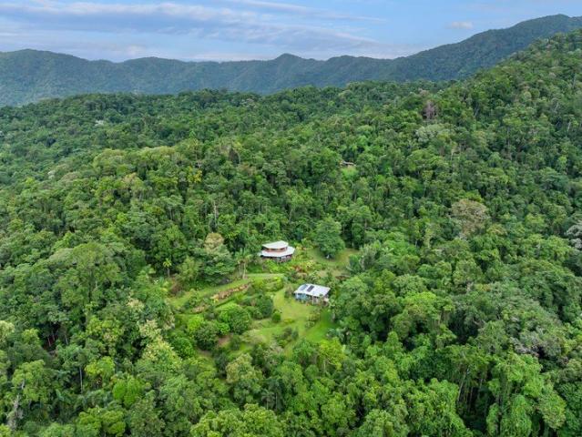 IMPRESSIVE PROPERTY IN THE HEART OF DAINTREE