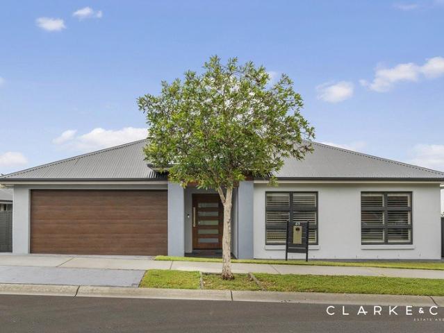IMPRESSIVE SPACE, LUXURIOUS INCLUSIONS!