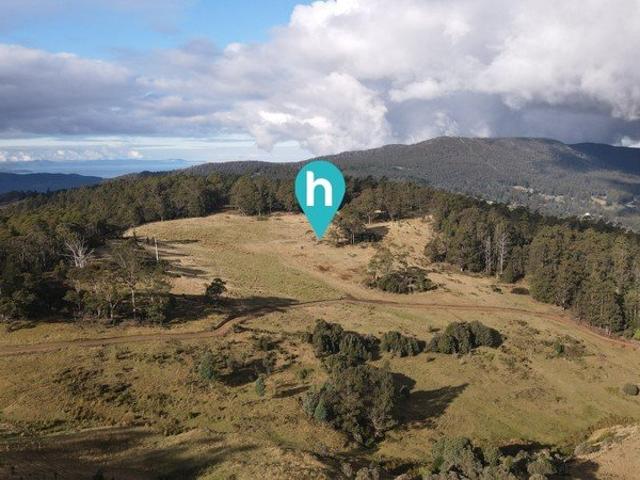 Impressive views from 54 Acres Pasture & Bush