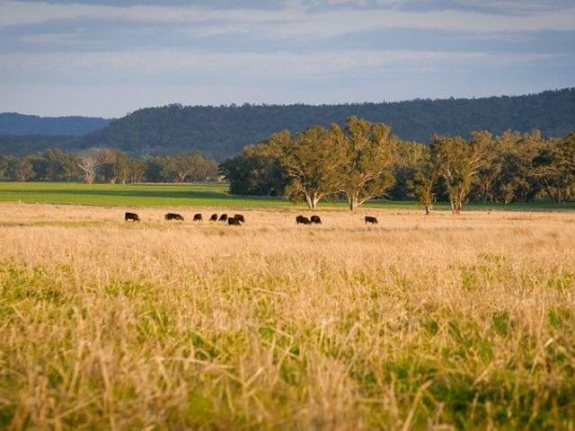 Improved Pasture Powerhouse with Excellent Water Security