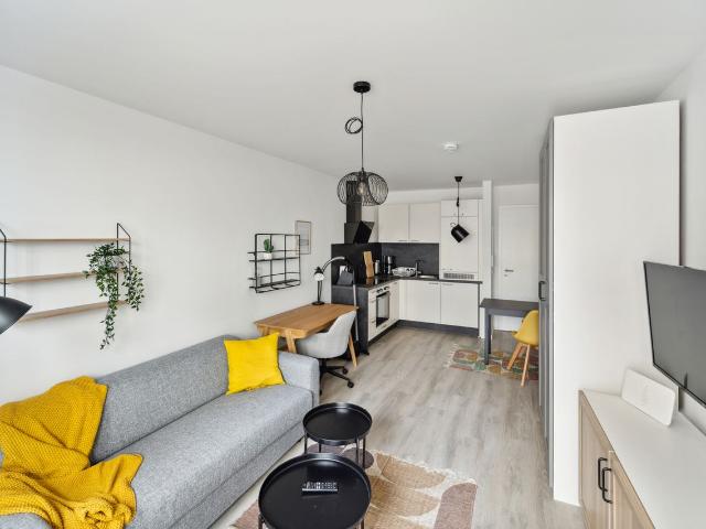 In the City Centre Brandnew, quiet and luxuriously furnished flat in Nuremberg, Nurnberg Amsterdam Apartments for Rent