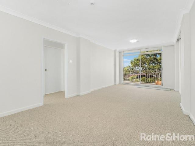 In the Heart Of Neutral Bay
