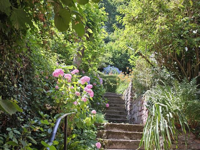 In the historic center and inmidst of the nature at the same time, Heidelberg Amsterdam Apartments for Rent
