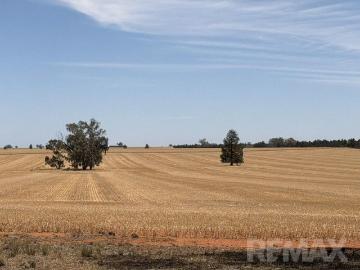 IN A RURAL COUNTRY ENVIRONMENT