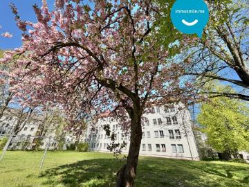 in Chemnitz • 2 Zimmer • zur Miete • mit Einbauküche • im Lutherviertel • jetzt besichtigen! ID: 896