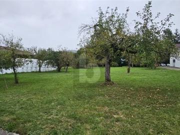 Vicques, Val Terbi, Bezirk Delsberg, Jura