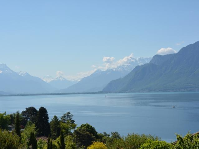 In der Nähe von Vevey, neues Projekt von 3 Villen mit 5,5 Zimmern – Panoramablick