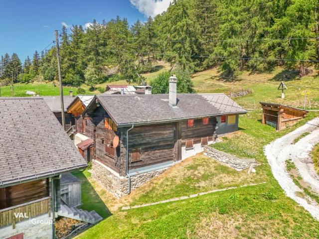 In der Stille der Natur zuhause 3.5 Zimmer Wohnung im Salwald