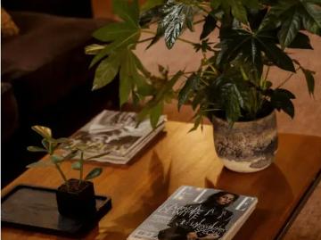 2000, Antwerpen, Anvers, Province de Anvers, Flandre