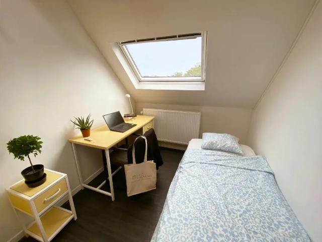 in medehuur Huis gemengd gebruik Sint Gillis