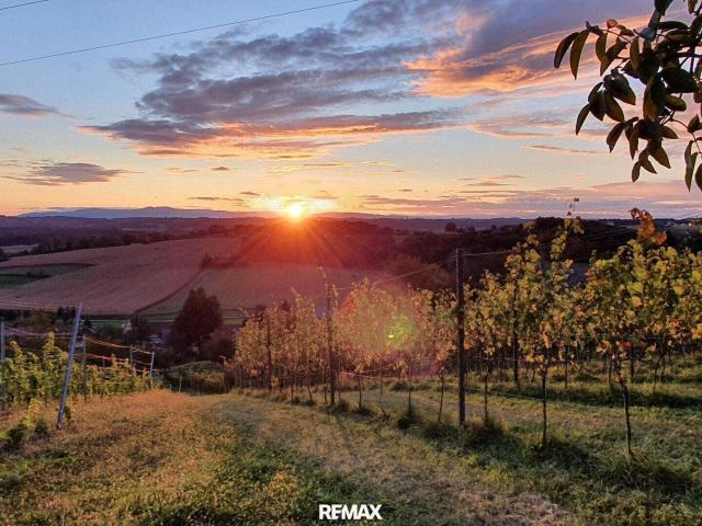 IN SLOWENIEN! Winzerhaus mit Weingarten und Blick bis zum Horizont!