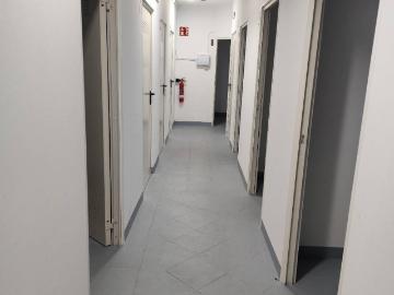 Barakaldo, Olabeaga, Gran Bilbao, Vizcaya, País Vasco