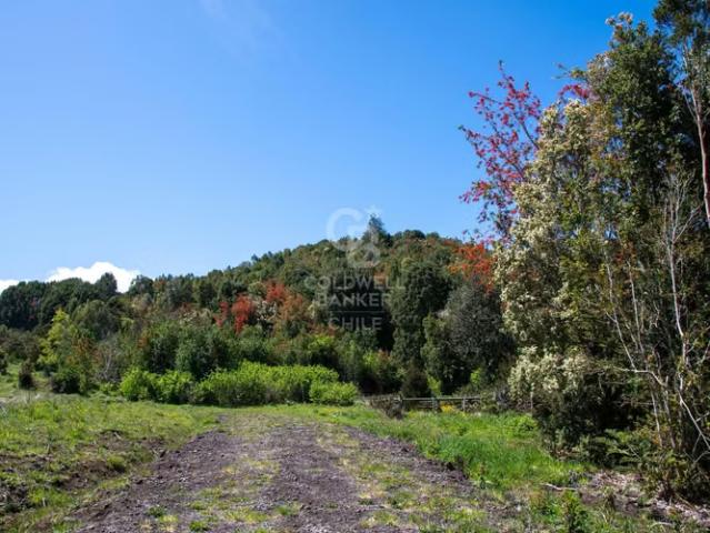 Inmersas en bosque, con orilla de rio y vista al lago. 0 dormitorios por 39900. 00 en Puerto Varas