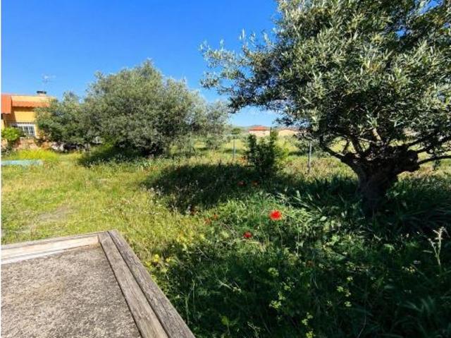 INMOBILIARIA CARVALLO VENDE EN EXCLUSIVA CHALET INDEPENDIENTE EN TORREMOCHA DE JARAMA