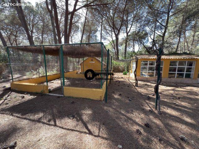 INMOBILIARIA TEJARES VENDE ESPECTACULAR PARCELA EN URBANIZACION PINARES DEL JUCAR