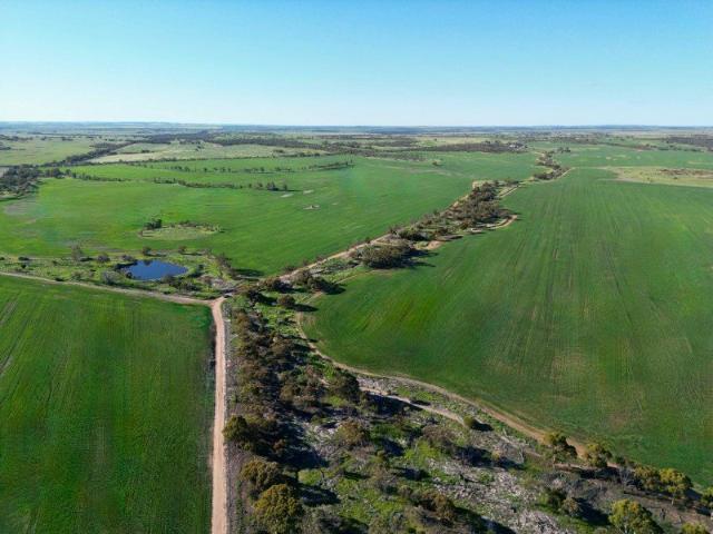 INNERING 572.34 Ha 1414 Acres