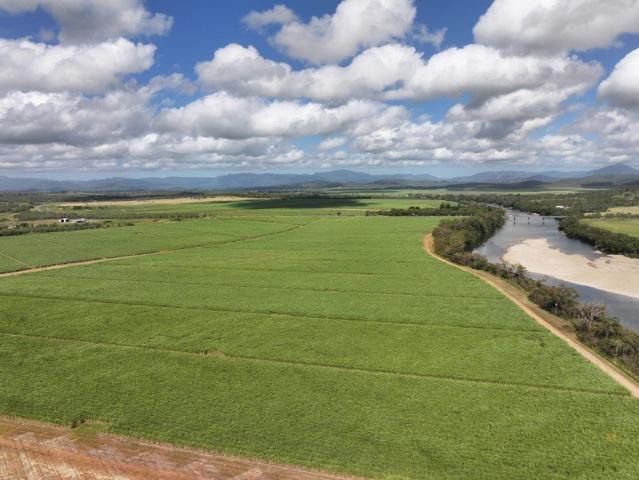 Income, Scale & River Lifestyle | 73ha & 150ha Two cane farms. River access. Income from day one