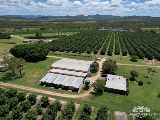 INCOME PRODUCING AVOCADO ENTERPRISE