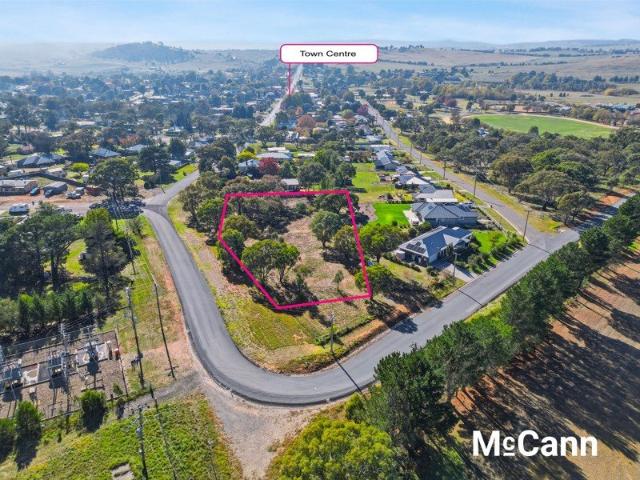 Incredible one acre lifestyle block