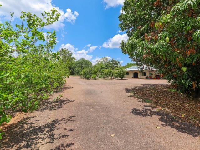 Incredible Orchard A+ Location Solid Home Huge Shed