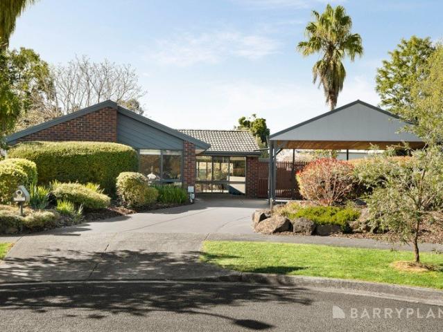 Incredible Backyard & Mount Dandenong Glimpses