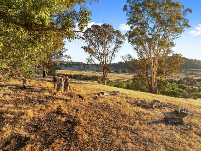 Incredible 100 Acre Rural Holding Views, Water & Endless Charm