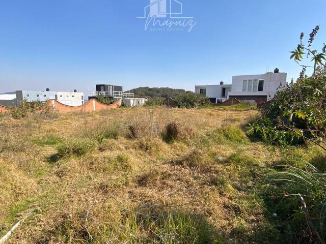 INCREIBLE TERRENO EN RENTA EN JILOTZINGO, RANCHO BLANCO!