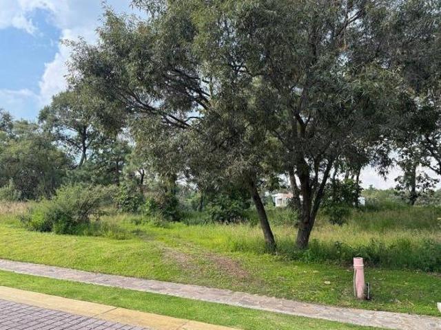 INCREIBLE TERRENO JUNTO A CAMPO DE GOLF