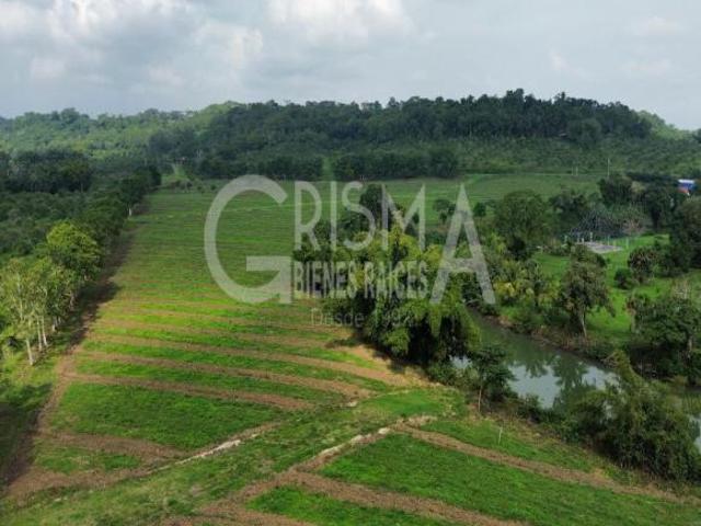 INCREÍBLES TERRENOS EN VENTA FRENTE AL ESTERO EN JUANA MOZA, TUXPAN VER