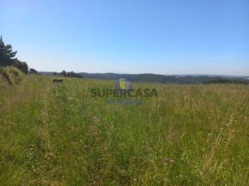 Incrível Terreno Rústico de 30.000 m², localizado nas Cruzes Salir de Matos