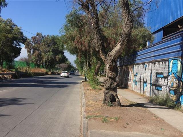 Industrial en Venta en Av. Salvador Allende 5200