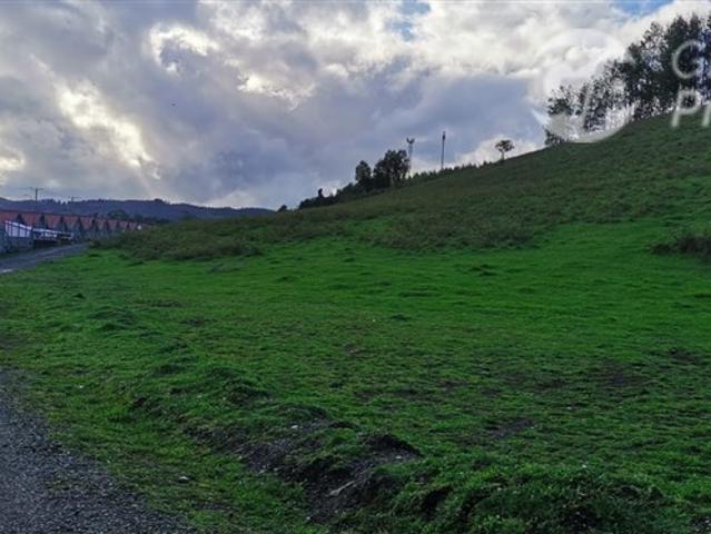 Industrial en Venta en Lanco, Región de Los Ríos. Chile