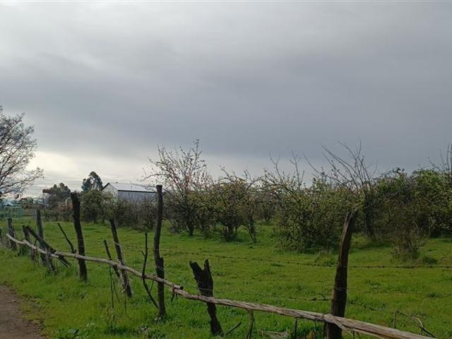 Industrial en Venta en Panamericana Sur 2310, Chillán Viejo, Bío Bío