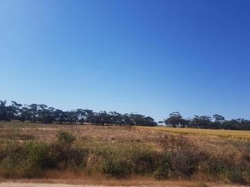 Moora, Western Australia, Seal Island, Western Australia