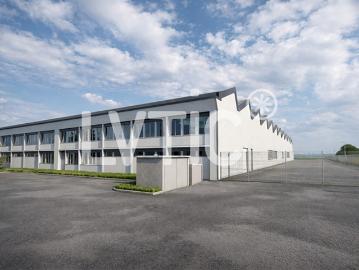 Industriehalle und Büros von 3000 m2 teilbar zu vermieten in Avenches