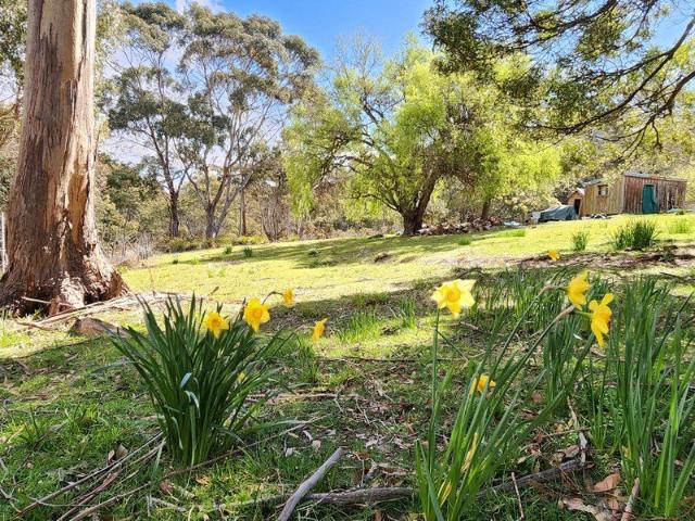 Inexpensive block close to nature and town