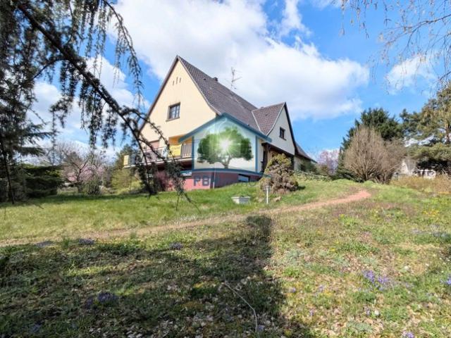 INGWILLER 67 Maison bourgeoise 131m² +90m² à développer avec grande Cave et Jardin sur env.14 ares