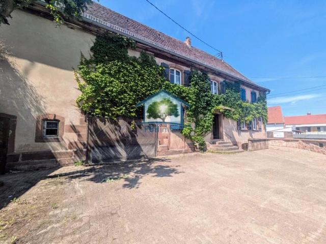 INGWILLER 67 Maison 144m² avec Dépendance attenante +145m² à développer sur 3 niveaux et Cour sur 3.50 ares