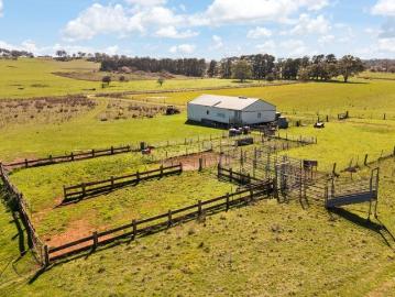 INGLESWOLD Heavy Basalt Soils Offered To The Market For The First Time In A Century