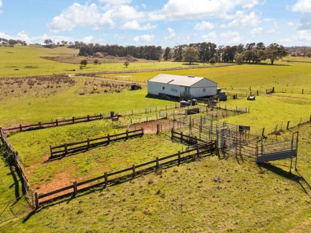 INGLESWOLD Heavy Basalt Soils Offered To The Market For The First Time In A Century