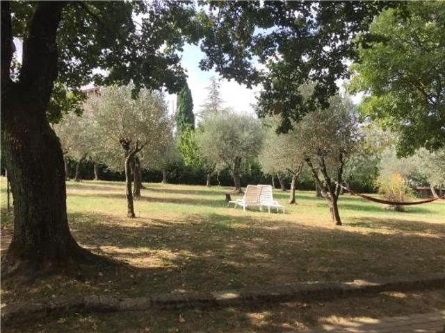 INGRESSO INDIPENDENTE CARCHERI 1 CARCHERI bilocale 40mq