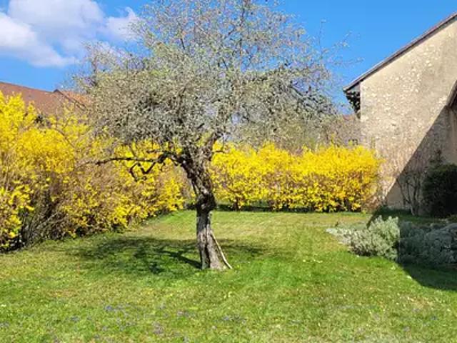 Injoux Génissiat 01200 Achat / Vente maison 7 pièces t7 terrasse cave